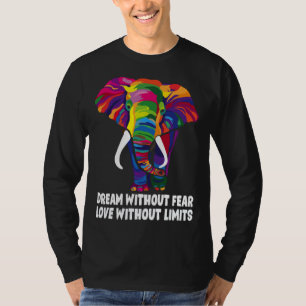 Dream Without Fear Love Without Limits LGBT Pride T-Shirt