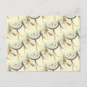 dreamcatcher postcard