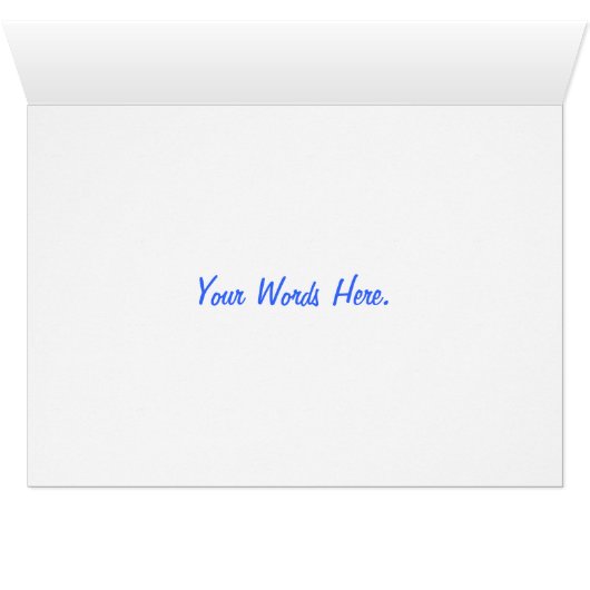 Dreamcycle (Inside Horizontal (Bottom))