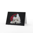 Dreamer the pesky westie Christmas Card