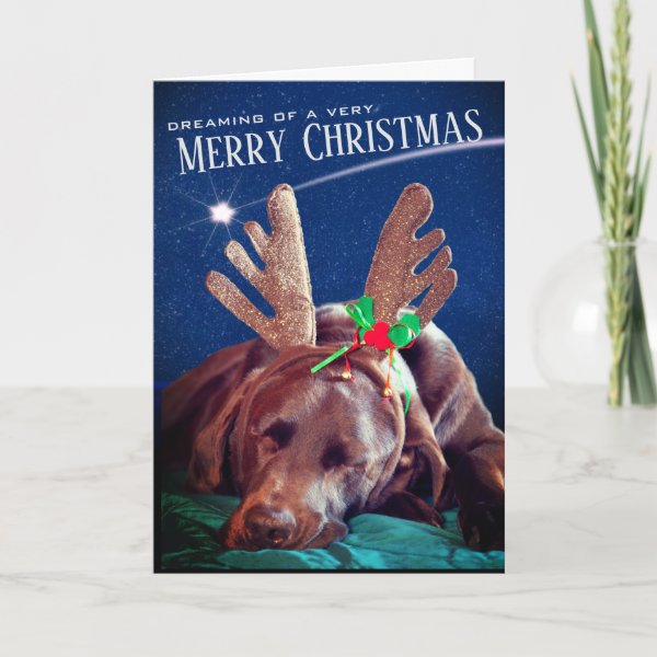 Dreaming Chocolate Lab With Antlers Photograph
