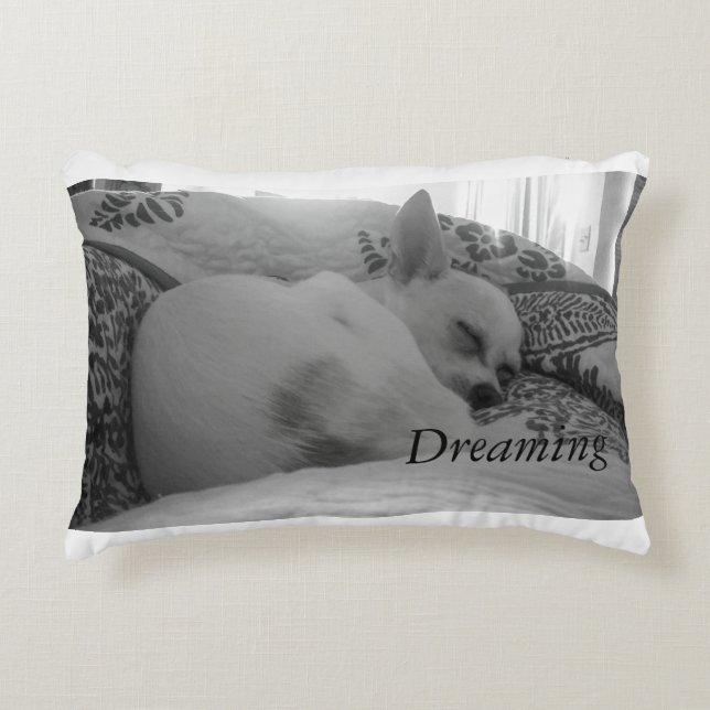 Dreaming Decorative Pillow (Front)