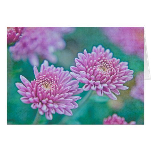 Dreaming in Mums Cards (Front Horizontal)