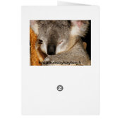 Dreaming Koala Cards (Back)