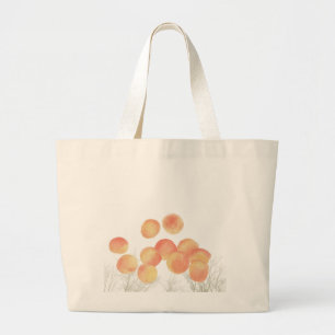Dreaming of apricots in the winter grocery bag