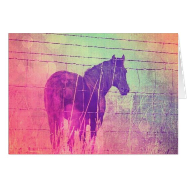 Dreaming of Horses Cards (Front Horizontal)