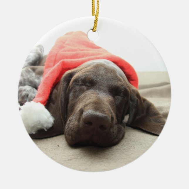 Dreaming of Santa - German Shorthair Puppy Ceramic Ornament (Front)