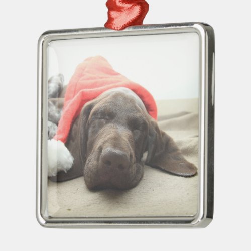 Dreaming of Santa _ German Shorthair Puppy Metal Ornament