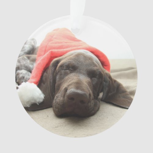 Dreaming of Santa _ German Shorthair Puppy Ornament