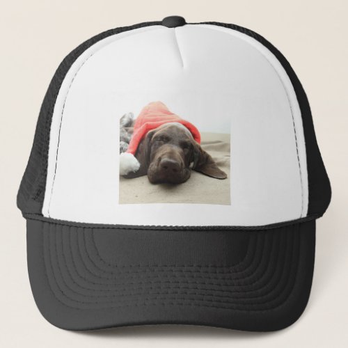 Dreaming of Santa _ German Shorthair Puppy Trucker Hat