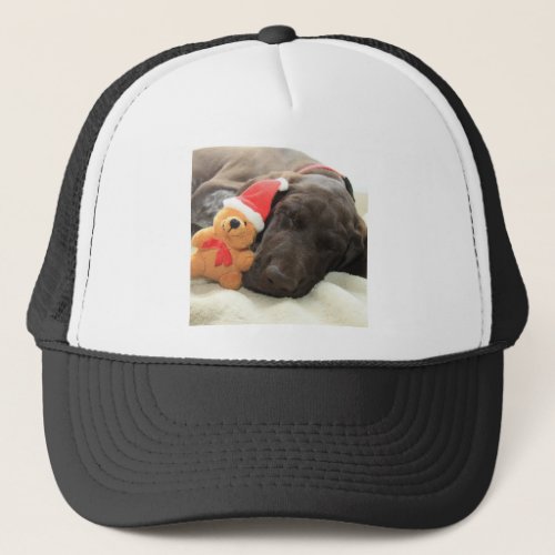 Dreaming of Santa _ German Shorthair Puppy Trucker Hat