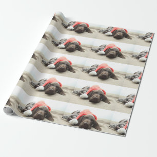 Dreaming of Santa - German Shorthair Puppy Wrapping Paper