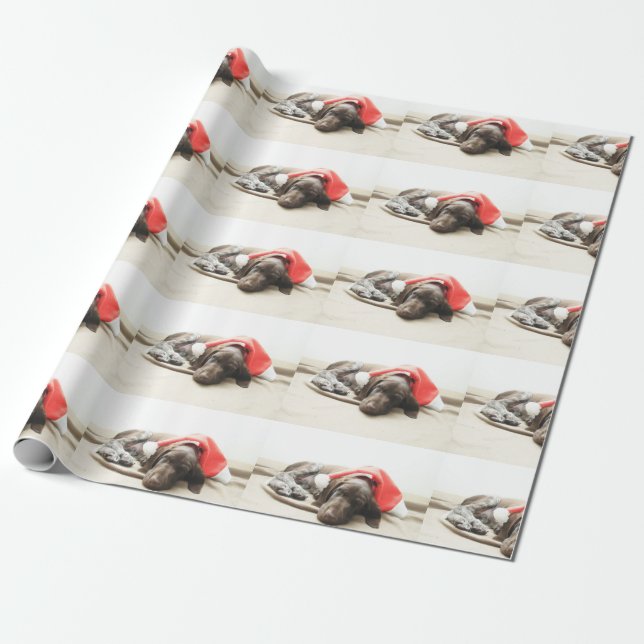 Dreaming of Santa - German Shorthair Puppy Wrapping Paper (Unrolled)