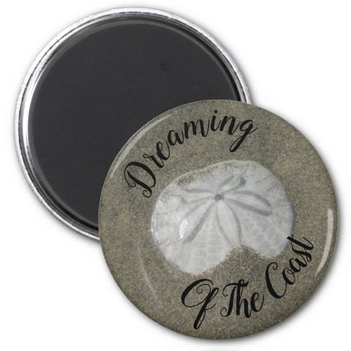 Dreaming Of The Coast Sand Dollar Photo Beach Magnet