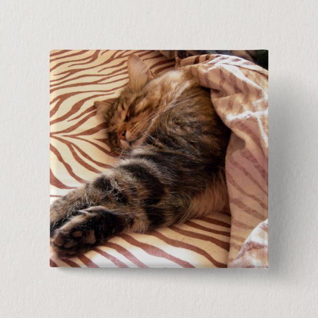 Dreaming of the veldt button (Front)