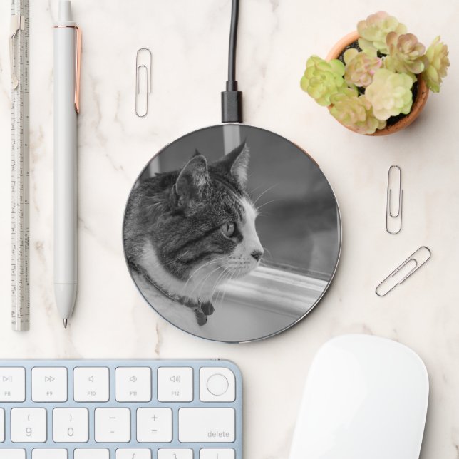 Dreaming Of Warmer Weather Grayscale Charger (Desk)