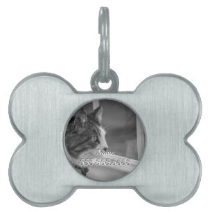 Dreaming Of Warmer Weather Grayscale Pet Tag