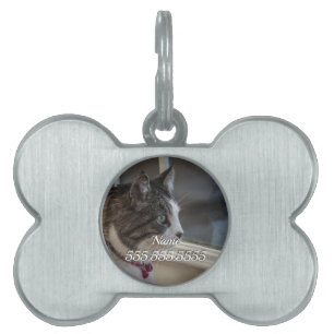 Dreaming Of Warmer Weather To Go Outside Pet Tag