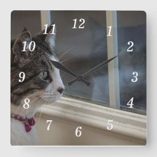 Dreaming Of Warmer Weather To Go Outside Square Wall Clock