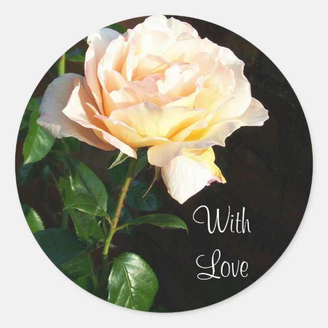 'Dreaming Spires' Rose Stickers (Front)