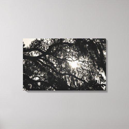 Dreaming Under the Oak Tree Wrapped Canvas