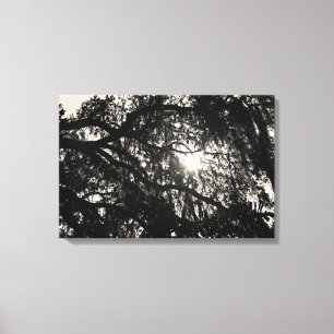 Dreaming Under the Oak Tree Wrapped Canvas Print