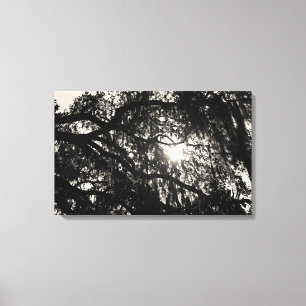 Dreaming Under the Oak Tree Wrapped Canvas Print
