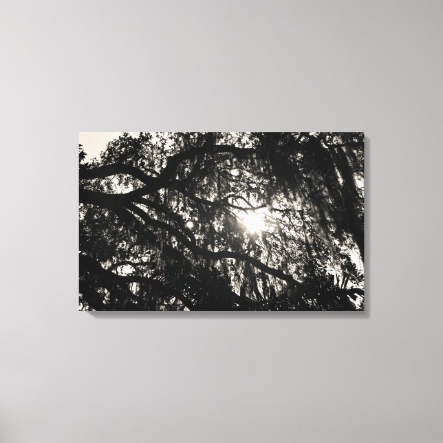 Dreaming Under the Oak Tree Wrapped Canvas Print (Front)