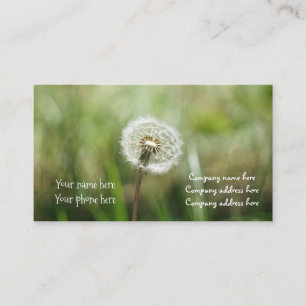 dreams business card