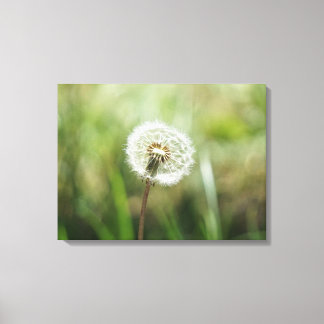 dreams canvas print