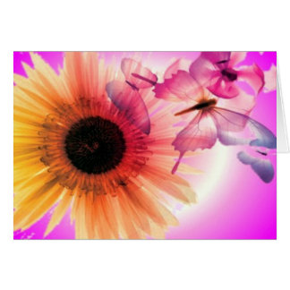 Dreams Cards