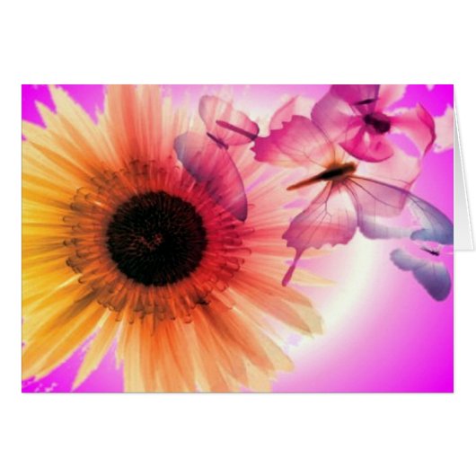 Dreams Cards (Front Horizontal)
