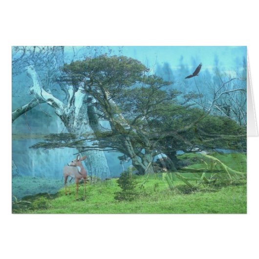 Dreams Cards (Front Horizontal)