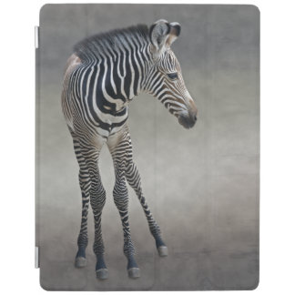 Dreams in Black and White iPad Covers (all models)