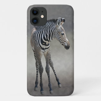 Dreams in Black and White iPhone 11 Case