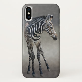 Dreams in Black and White iPhone X Case