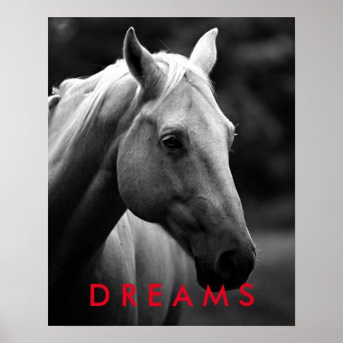Dreams Motivational Black White Closeup Horse Poster