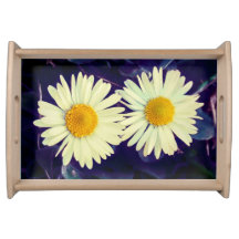 Dreams of daisies