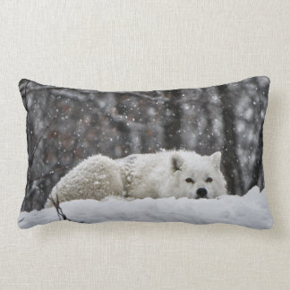 Dreams of warmer weather lumbar pillow