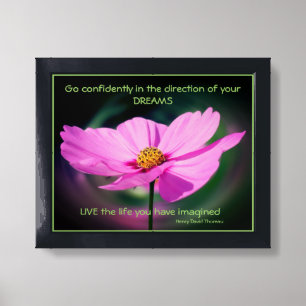 Dreams Quote Cosmos Flower Inspirational Framed Art