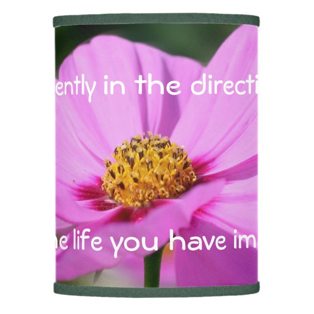 Dreams Quote Cosmos Flower Inspirational  Lamp Shade (Front)