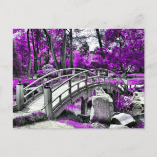 Dreamscape Purple Forest Postcard