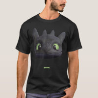 DreamWorks Dragons Toothless Night Fury Big Face C