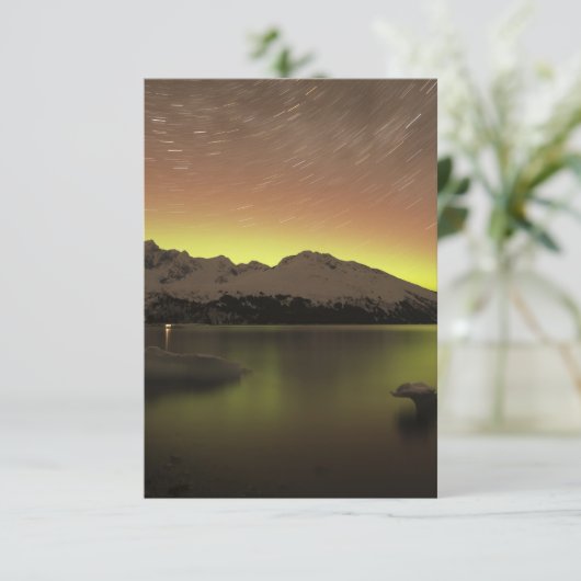 Dreamy Aurora (Standing Front)