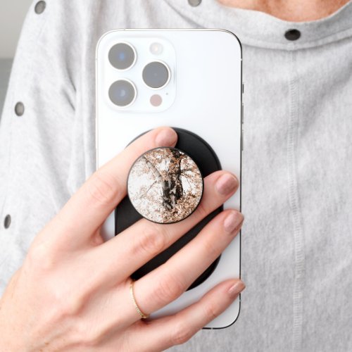 Dreamy Birch Tree 3 wall art PopSocket