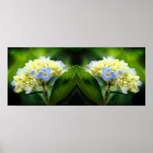 Dreamy Blue Hydrangea Flower Mirror Abstract Poster
