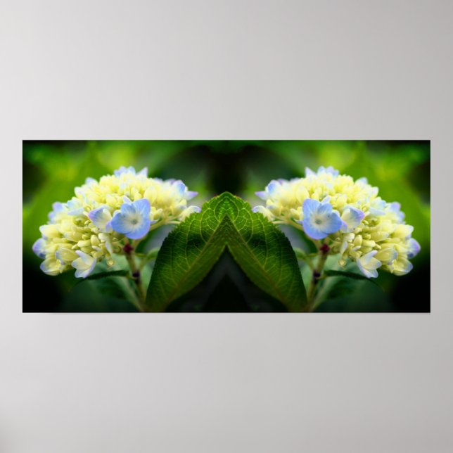 Dreamy Blue Hydrangea Flower Mirror Abstract Poster (Front)