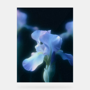 Dreamy Blue Iris Floral Wall Art Poster
