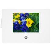 Dreamy Bluebonnet Design Cards (Back Horizontal)