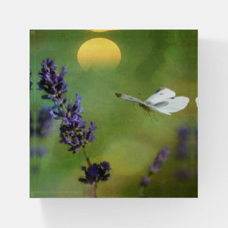Dreamy Butterfly Garden Paperweight